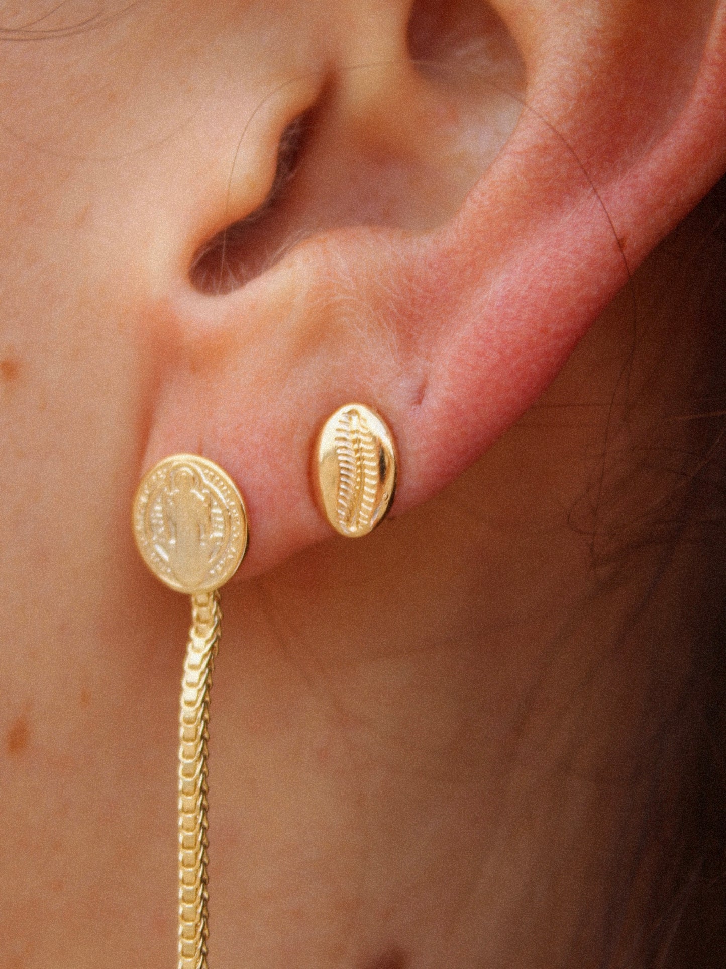 Baby Cowrie Shell Earrings