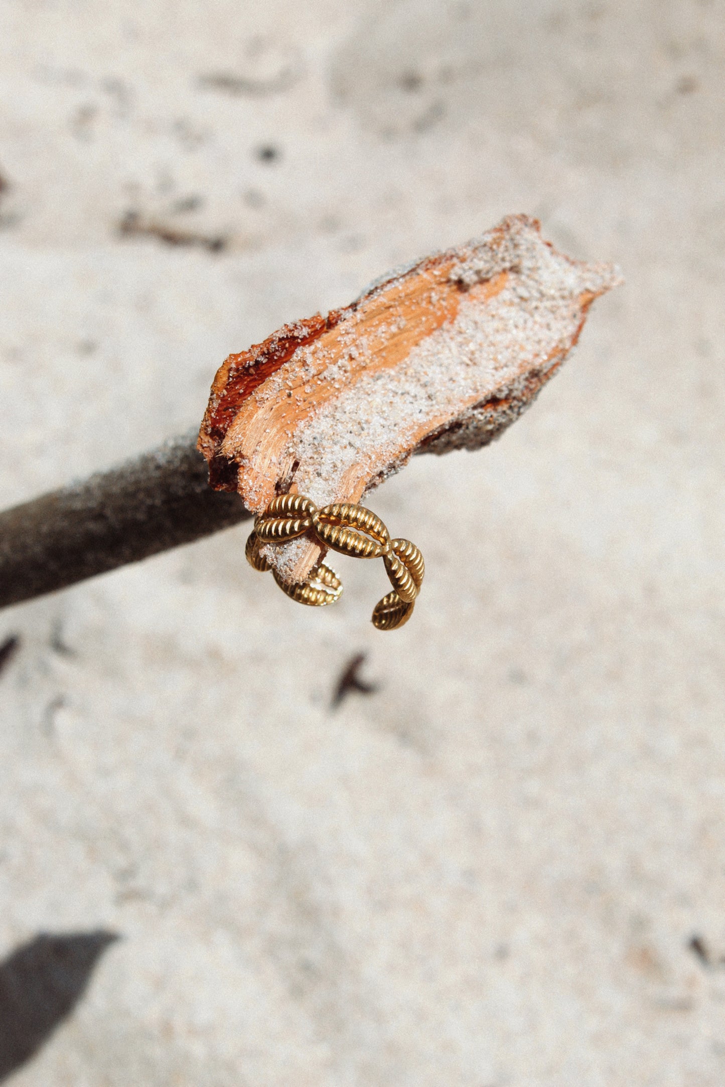 Cowrie Shell Ring